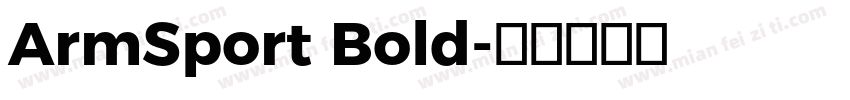 ArmSport Bold字体转换